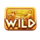 champion blitz hold and win wild 1 symbol icon