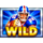 champions night hold and win wild symbol icon