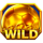 champions of the spin wild symbol icon