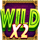 cheetah wild wild symbol icon