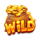 chicken burst wild symbol icon