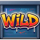 chicken royal wild symbol icon