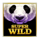 china shores slingo wild 1 symbol icon