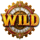 chronos sands of eternity wild symbol icon