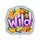 citrus splash deluxe wild symbol icon
