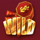 cny fever wild symbol icon