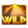 code of cairo wild symbol icon