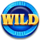 coin infinity surge reel wild 1 symbol icon