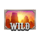 coin nonet bison 3x3 hold and win wild symbol icon