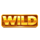 coin win express hold the spin wild symbol icon