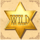 cowboy treasure wild symbol icon