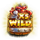 crabbys gold wild 2 symbol icon