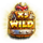 crabbys gold wild 3 symbol icon