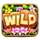 crazy tiki hold and win wild symbol icon