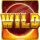 cricket heroes wild symbol icon