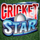 cricket star wild symbol icon