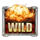 d day wild symbol icon