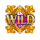 da vinci extreme wild symbol icon