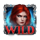 dark reels wild symbol icon