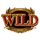 demi gods iv wild symbol icon