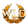 demi gods vii nightfall wild symbol icon