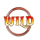 devils jackpot wild symbol icon