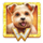 diamond doggies wild 4 symbol icon