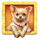 diamond doggies wild 5 symbol icon