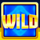 diamond phantom wild symbol icon