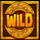 diegos hunt wild symbol icon