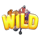 divers paradise wild symbol icon