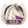 divine fortune powerpoints wild horse symbol icon