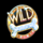 doggie diamonds wild1 symbol icon