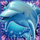 dolphin reef wild symbol icon