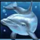 dolphins pearl wild symbol icon