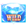 double jewel hold and win wild 1 symbol icon