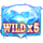 double jewel hold and win wild 2 symbol icon