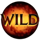 dracos gold wild 1 symbol icon