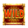 drago jewels of fortune wild symbol icon