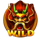 dragon money rapid feature wild symbol icon