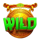 dragon tiger fortunes wild symbol icon