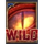 dragons treasure quest wild symbol icon