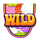 dream diver wild4 symbol icon
