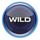 drive multiplier mayhem powerpoints wild symbol icon
