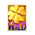 dublin up pots ogold wild symbol icon