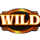 dungeons and dragons reel quest wild 2 symbol icon