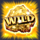 dynamite mine explosion wild symbol icon