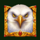 eagles gold wild symbol icon