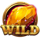 elemental fusion plinko deluxe wild symbol icon