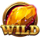 elemental fusion wild gem symbol icon